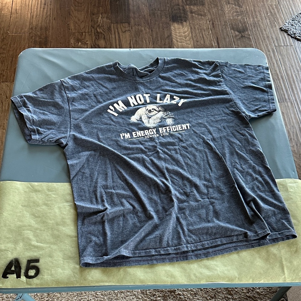 Men's Gray Graphic T-Shirt
